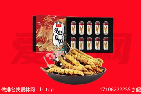 抚顺市回收虫草.jpg